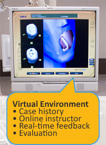 virtual environment